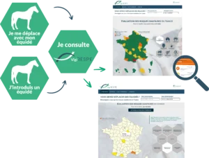 Schéma de fonctionnement de la carte VigiRESPE